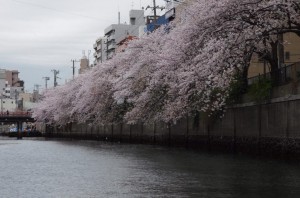 20150404-7