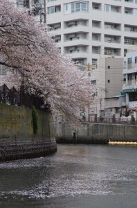 20150404-8